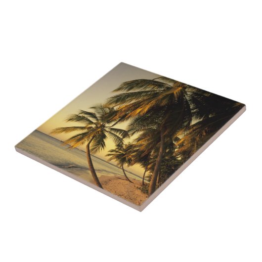 Strand bei Sonnenuntergang, Trinidad Fliese (Seite)