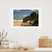 Strand Bliss - Pohutukawa-Baum Poster (Küche)