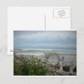 Strand-Blumen Postkarte (Vorne/Hinten)