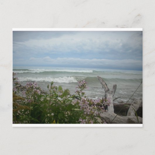 Strand-Blumen Postkarte (Vorderseite)