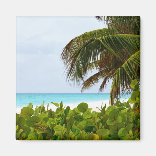 STRAND CARIBBEAN - BARBADOS MAGNET (Vorne)