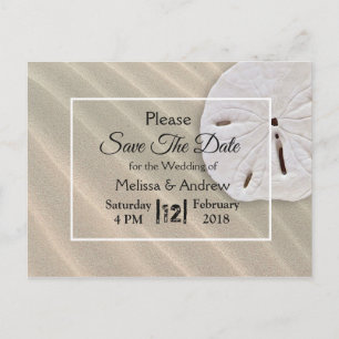 Strand-Dollar-Hochzeit Save the Date Ankündigungspostkarte