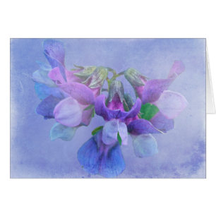 Strand-Erbsen-Blumen