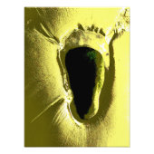 STRAND FOTODRUCK (Vorne)