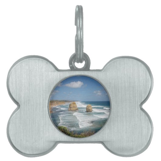 Strand-Glühen Tiermarke (Vorderseite)