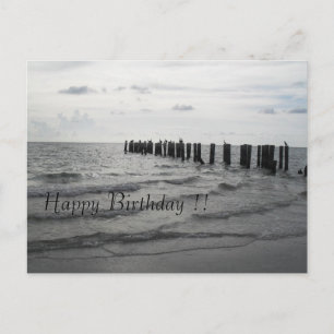Strand in Florida Pelikane Geburtstagskarte Postkarte