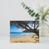 Strand in Kauai Postkarte (Stehend Vorderseite)