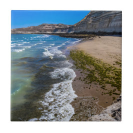 Strand in Puerto Piramides, Argentinien Fliese