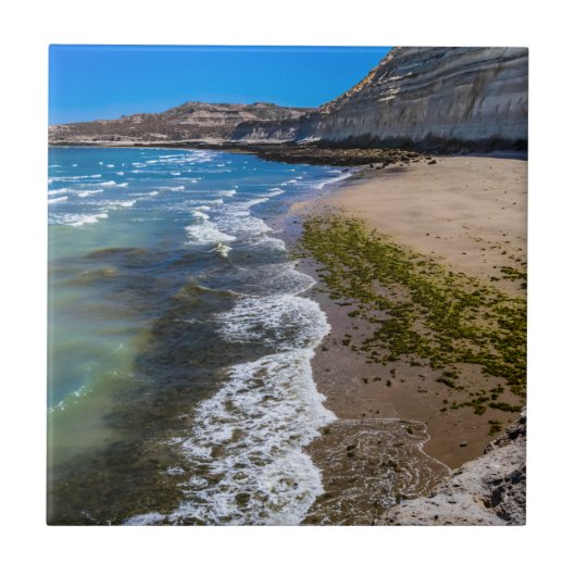 Strand in Puerto Piramides, Argentinien Fliese (Vorderseite)