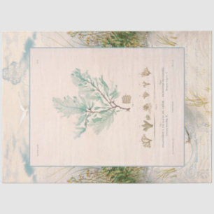 Strand Küste Botanisches Meer Weed Blue Decoupage Seidenpapier