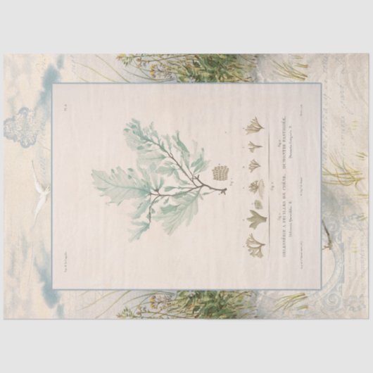 Strand Küste Botanisches Meer Weed Blue Decoupage Seidenpapier (Vorderseite)