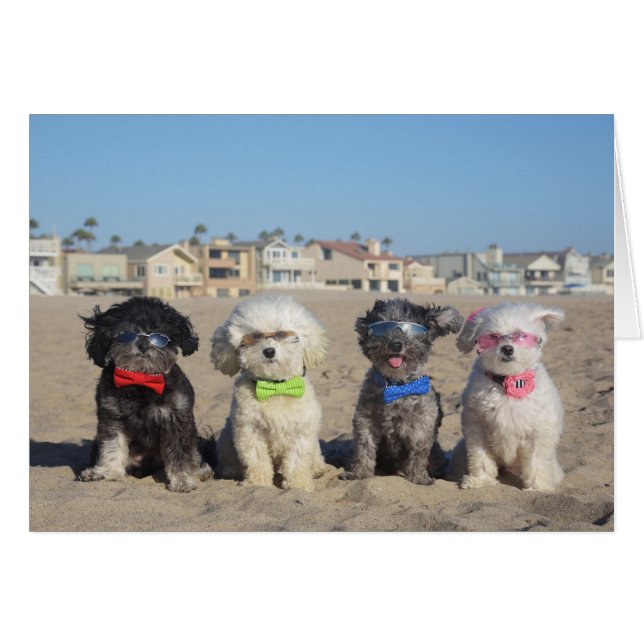 Strand-Leben (Vorderseite (Horizontal))