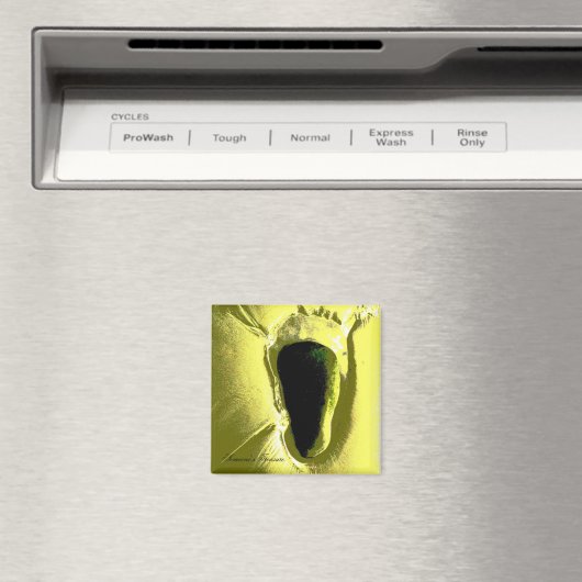 STRAND MAGNET (In Situ (Geschirrspüler))