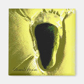 STRAND MAGNET (Vorne)