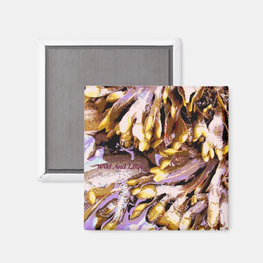 STRAND MAGNET (Vorderseite/Rückseite)