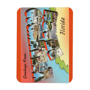 Strand-Magnet Floridas, Hollywood Magnet