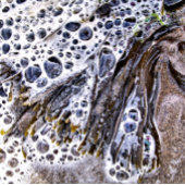 STRAND, MEERESWOCHE, WASSER UND SAND FLIESE