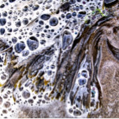 STRAND, MEERESWOCHE, WASSER UND SAND GETRÄNKEUNTERSETZER