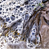 STRAND, MEERESWOCHE, WASSER UND SAND MILCHTASSE