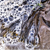 STRAND, MEERESWOCHE, WASSER UND SAND PICKLEBALL SCHLÄGER