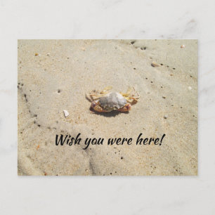 Strand mit Crab Postcard Postkarte