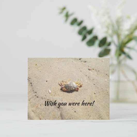 Strand mit Crab Postcard Postkarte (Stehend Vorderseite)