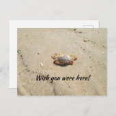 Strand mit Crab Postcard Postkarte (Vorne/Hinten)
