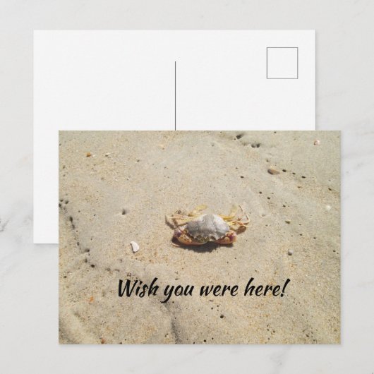 Strand mit Crab Postcard Postkarte (Vorne/Hinten)