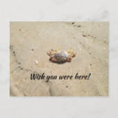 Strand mit Crab Postcard Postkarte (Vorderseite)