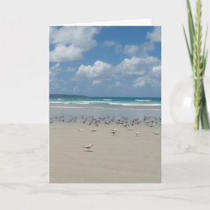 Strand mit Möwen Karte