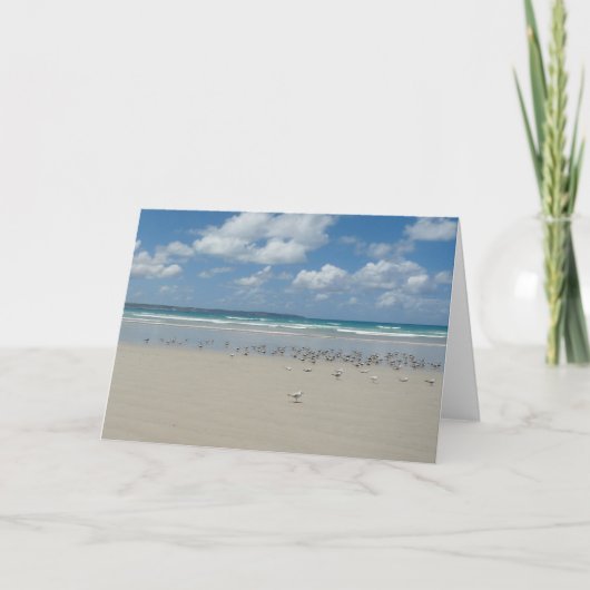 Strand mit Möwen Karte (Vorderseite)