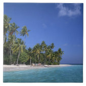 Strand mit Palmen, Malediven Fliese (Vorderseite)