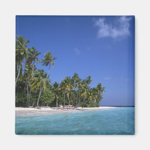 Strand mit Palmen, Malediven Magnet