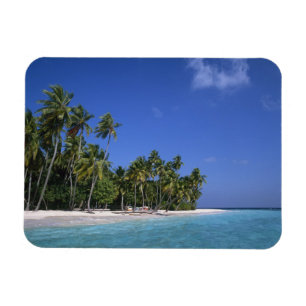 Strand mit Palmen, Malediven Magnet