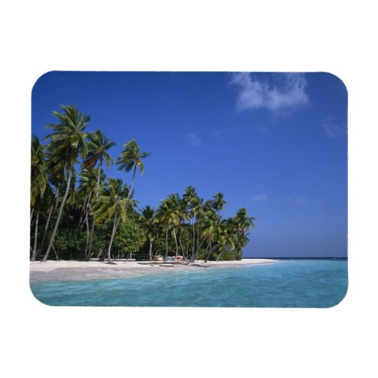 Strand mit Palmen, Malediven Magnet (Horizontal)