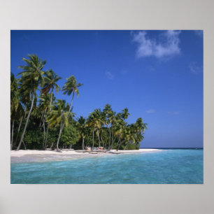 Strand mit Palmen, Malediven Poster