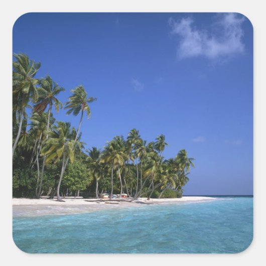 Strand mit Palmen, Malediven Quadratischer Aufkleber (Vorderseite)