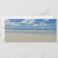 Strand mit Seaguls