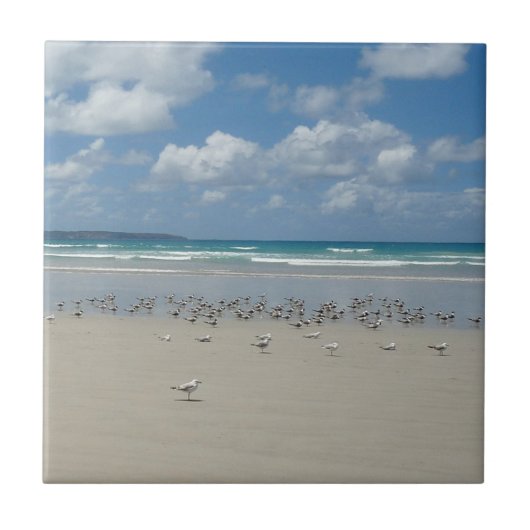 Strand mit Seaguls Fliese (Vorderseite)
