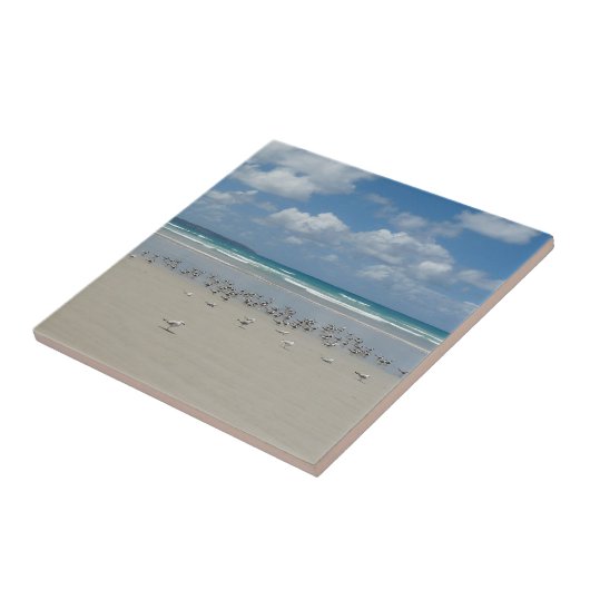 Strand mit Seaguls Fliese (Seite)