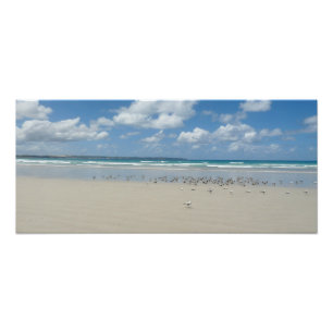 Strand mit Seaguls Fotodruck