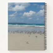 Strand mit Seaguls Notizblock (Rückseite)