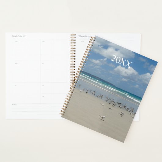 Strand mit Seaguls Planer (Anzeige)