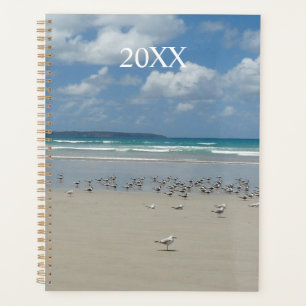 Strand mit Seaguls Planer