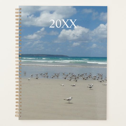 Strand mit Seaguls Planer (Vorderseite)