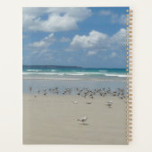 Strand mit Seaguls Planer (Rückseite)