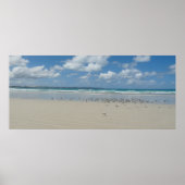 Strand mit Seaguls Poster (Vorne)
