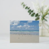 Strand mit Seaguls Postkarte (Stehend Vorderseite)