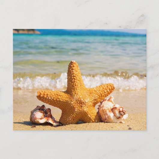 Strand mit Starfish und Seashells Brautparty Einladungspostkarte (Vorderseite)