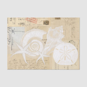 Strand Muscheln Creme Französische Postkarten Tiss Seidenpapier